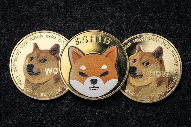 Dogecoin price today, DOGE to USD live price, marketcap and chart | CoinMarketCap