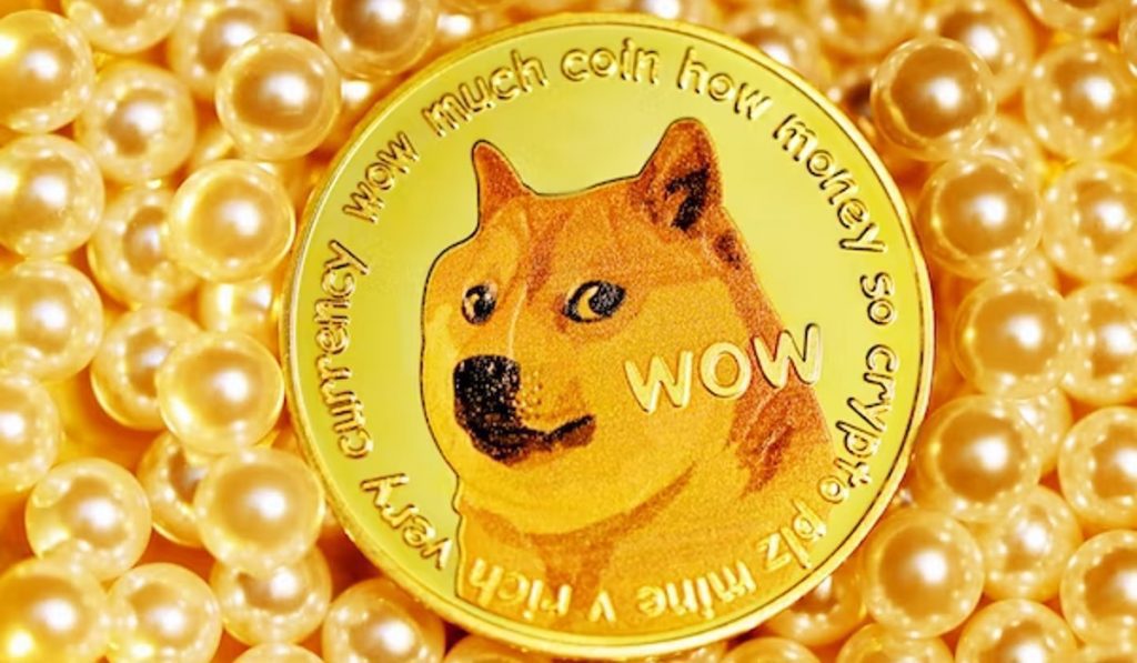 Getting Started With DOGE Storage: DOGEcoin Wallets Setup