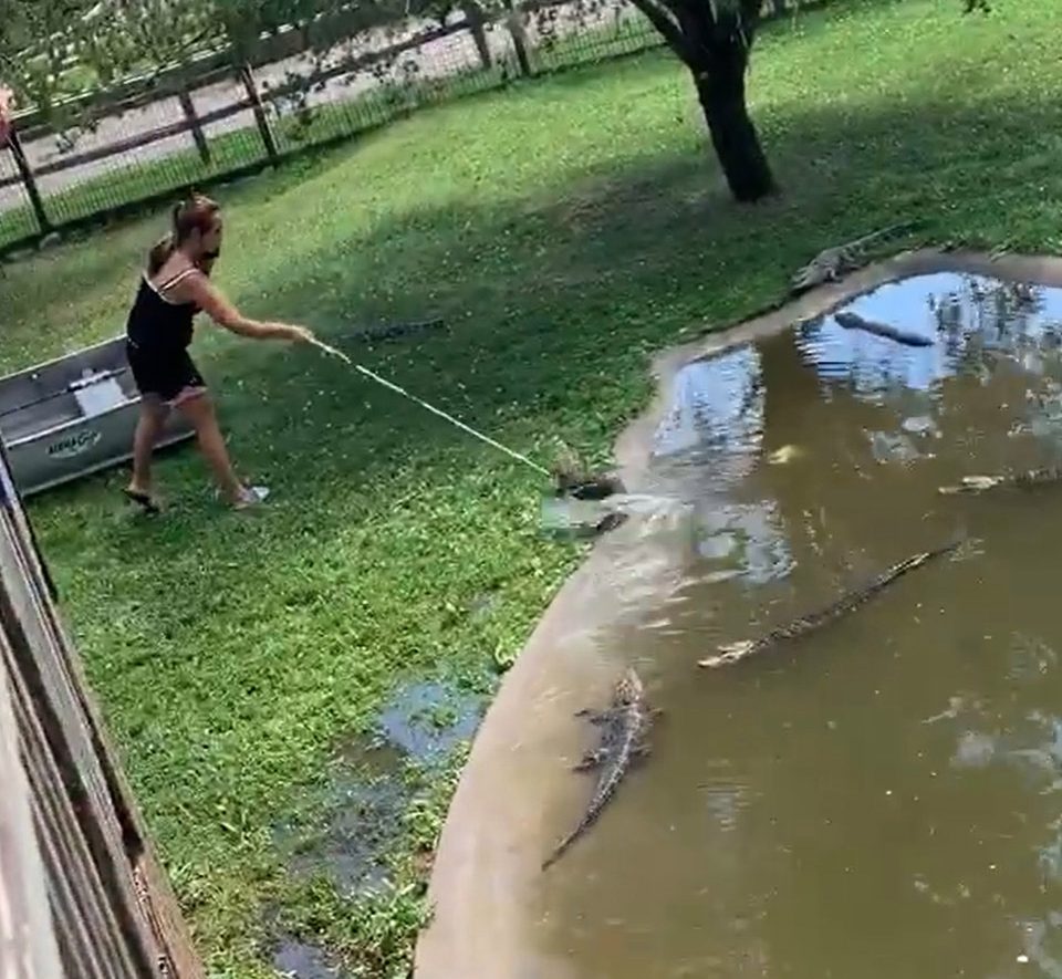 Woman climbs into alligator pit with boy – to retrieve dropped wallet from water - Daily Star