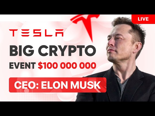 Crypto Scammers Exploit: Elon Musk Speaks on Cryptocurrency | McAfee Blog