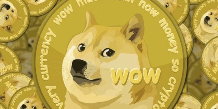 Купить DOGE Dogecoin DOGE по выгодному курсу | CHEXCH