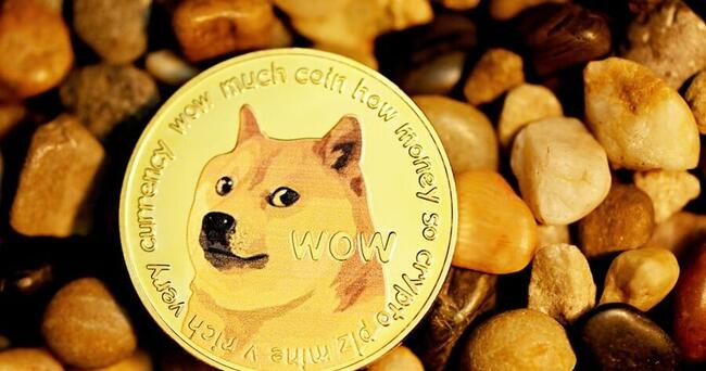 DOGE to EUR Converter | Dogecoin to Euro Exchange Rates