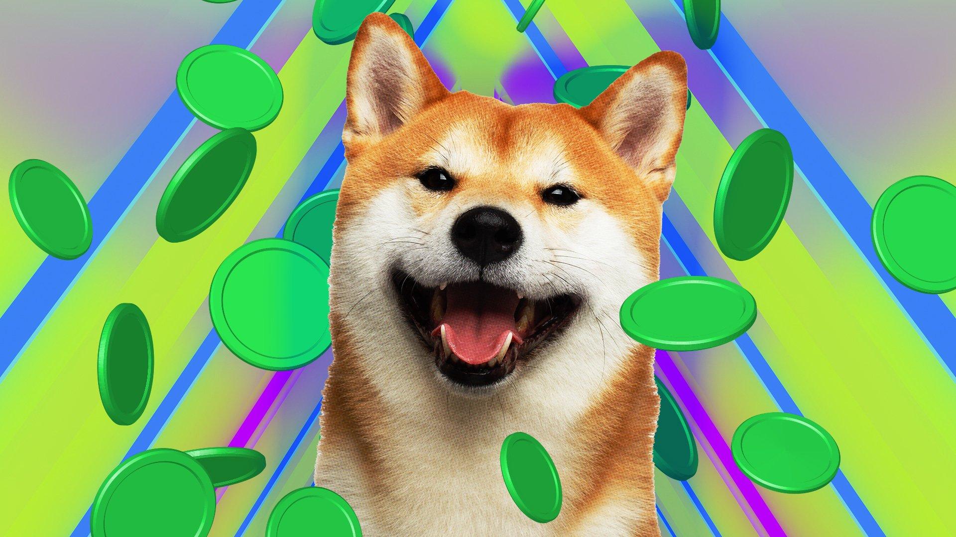 Convert 1 DOGE to EUR - Dogecoin price in EUR | CoinCodex