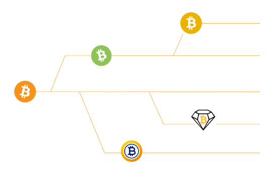 Everything you need to know about Litecoin Hard Fork | coinlog.fun