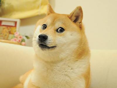 Convert DOGE to USD: Dogecoin to United States Dollar