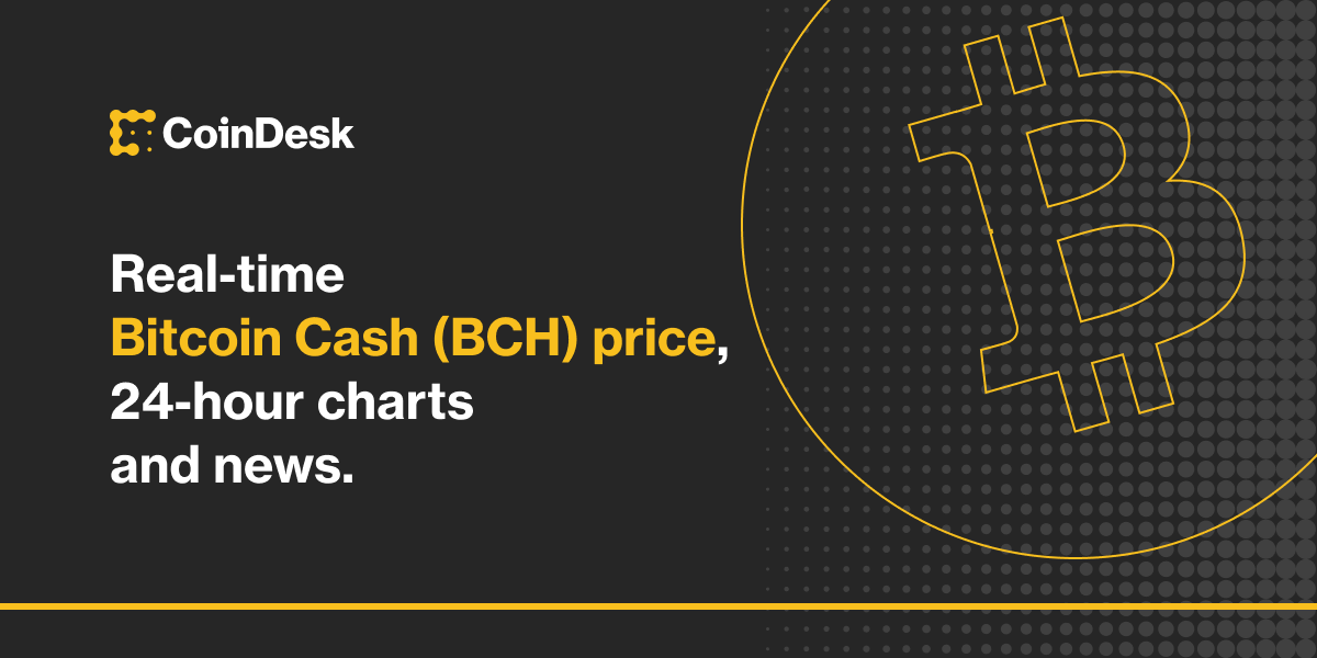 1 BCH to USD | Convert Bitcoin Cash to US Dollars | Revolut Singapore