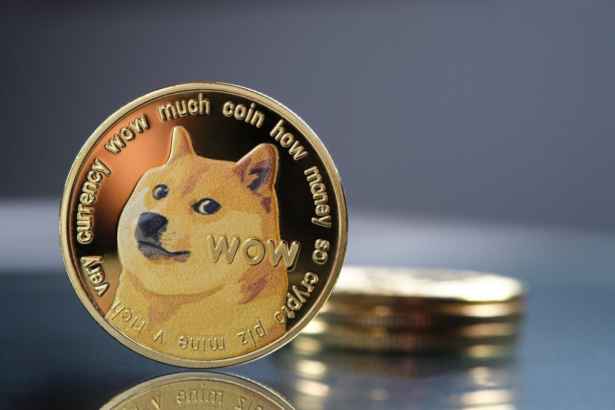 Калькулятор DOGECOIN в AZN в реальном времени сегодня (DOGECOIN-AZN) | CoinMarketCap