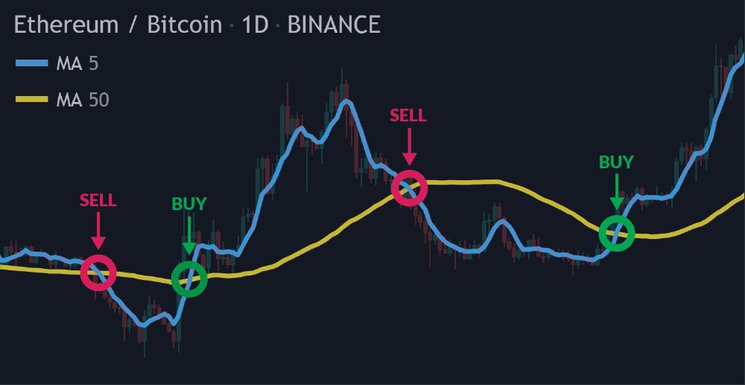 GitHub - freqtrade/freqtrade: Free, open source crypto trading bot