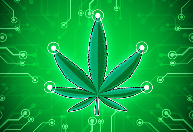 Cryptocurrency for Cannabis: A Booming Business Solution - Greg Herlean