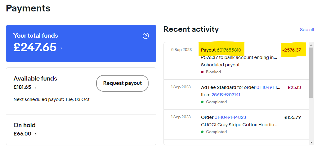 Paypal holding my funds for 21 days or more? - Page 2 - The eBay Community