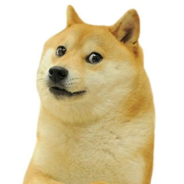 Emoji Doge - Journal of Marketing Management