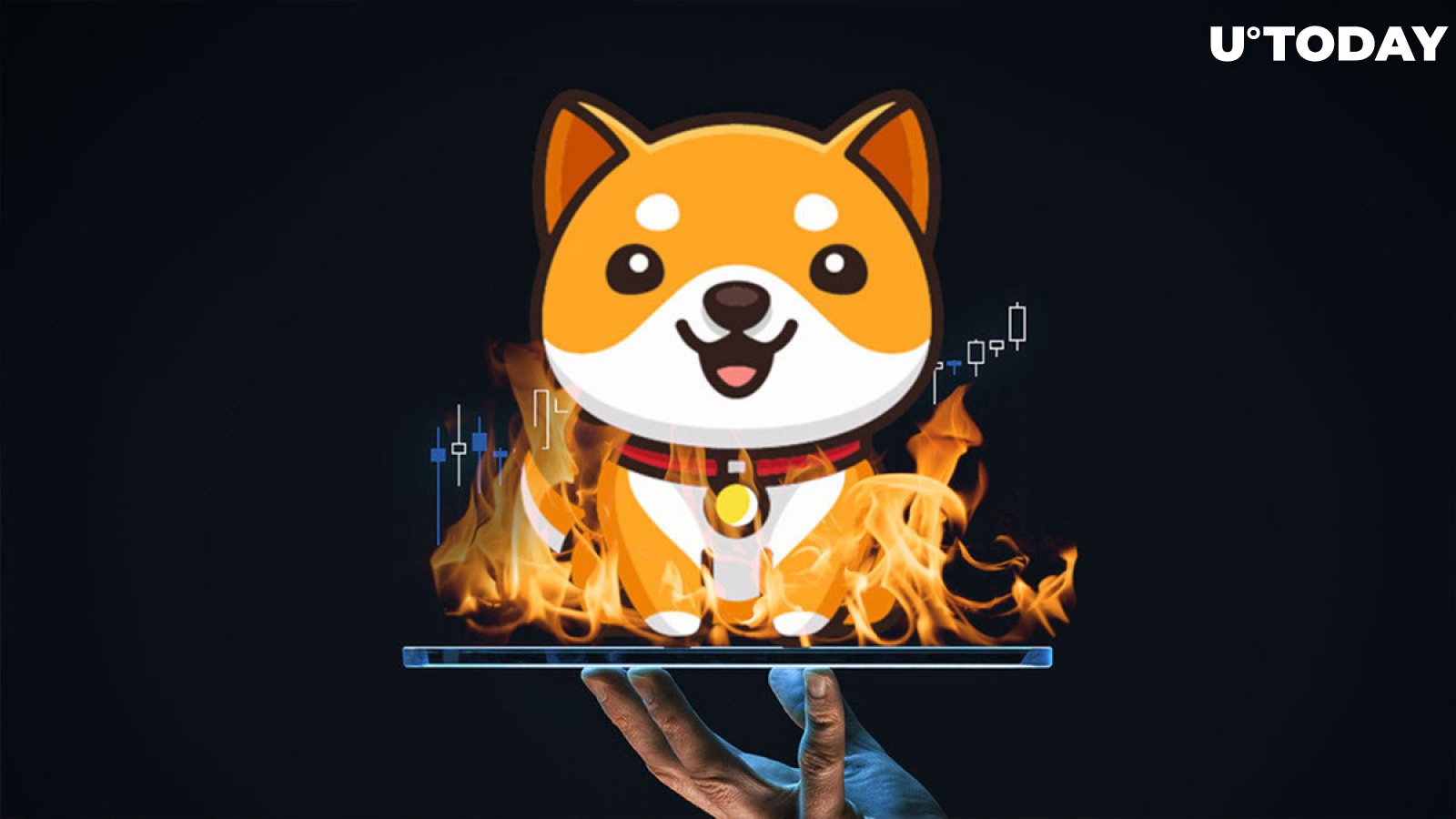 Dogecoin Founder Laments Suggestions to Burn DOGE Supply to Boost Price to $1