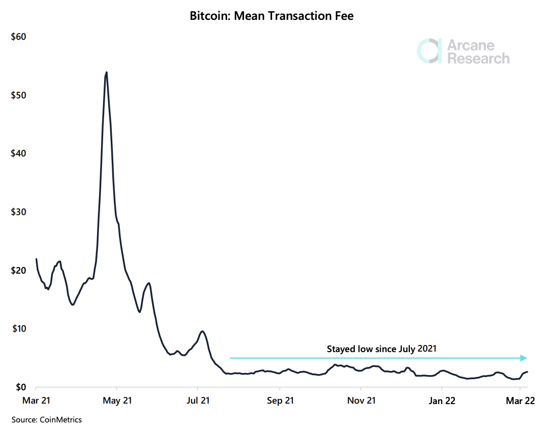 Bitcoin Fees Spike to 2-Year High - Learn Why | Speed