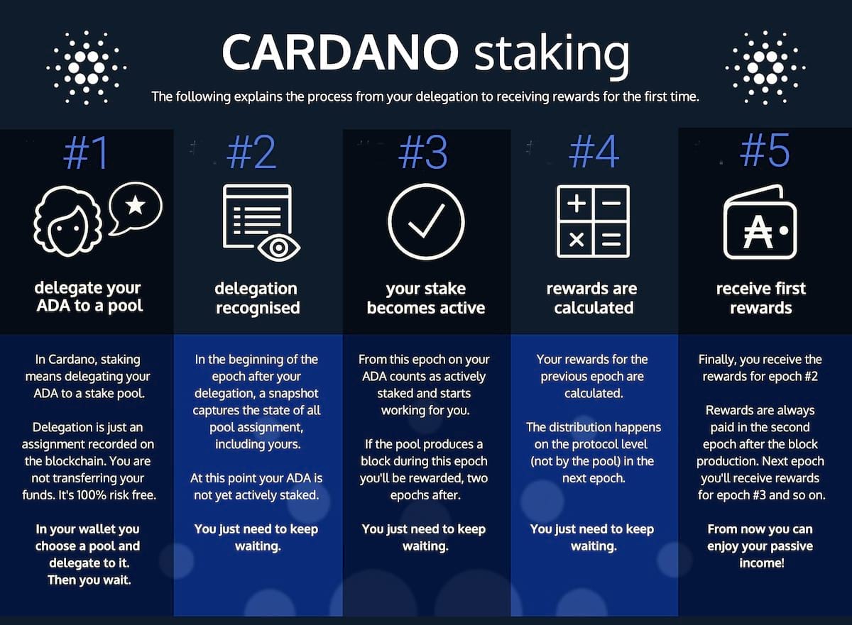 Missing staking rewards · Issue # · IntersectMBO/cardano-db-sync · GitHub