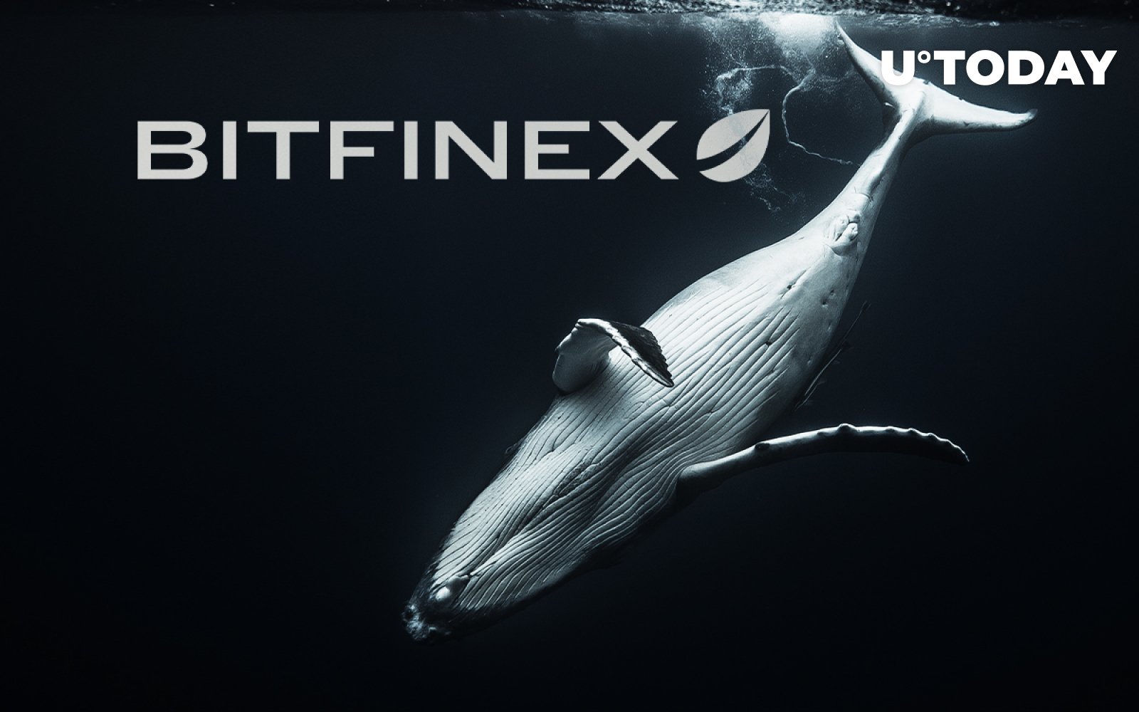 Bitfinex - CryptoMarketsWiki