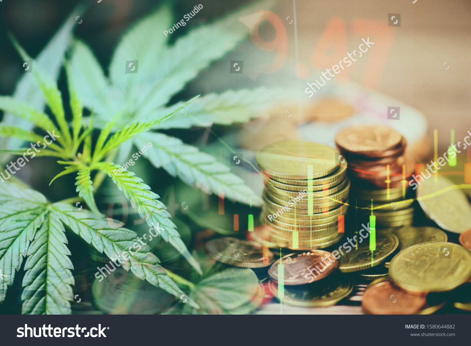 Marijuana - CoinDesk