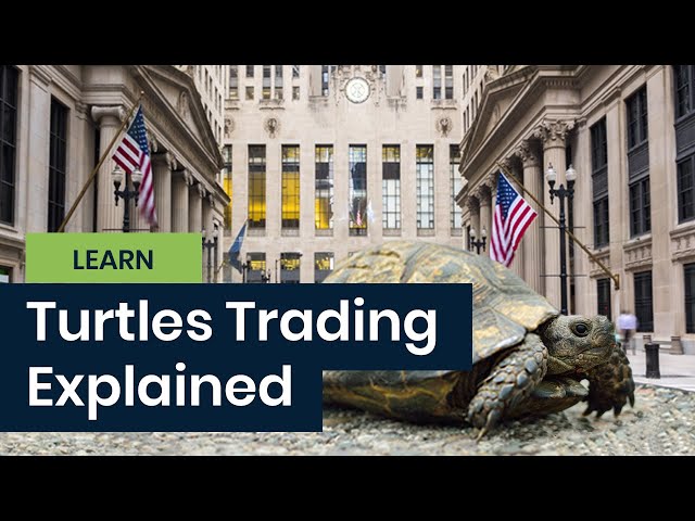 The Complete TurtleTrader - Wikipedia