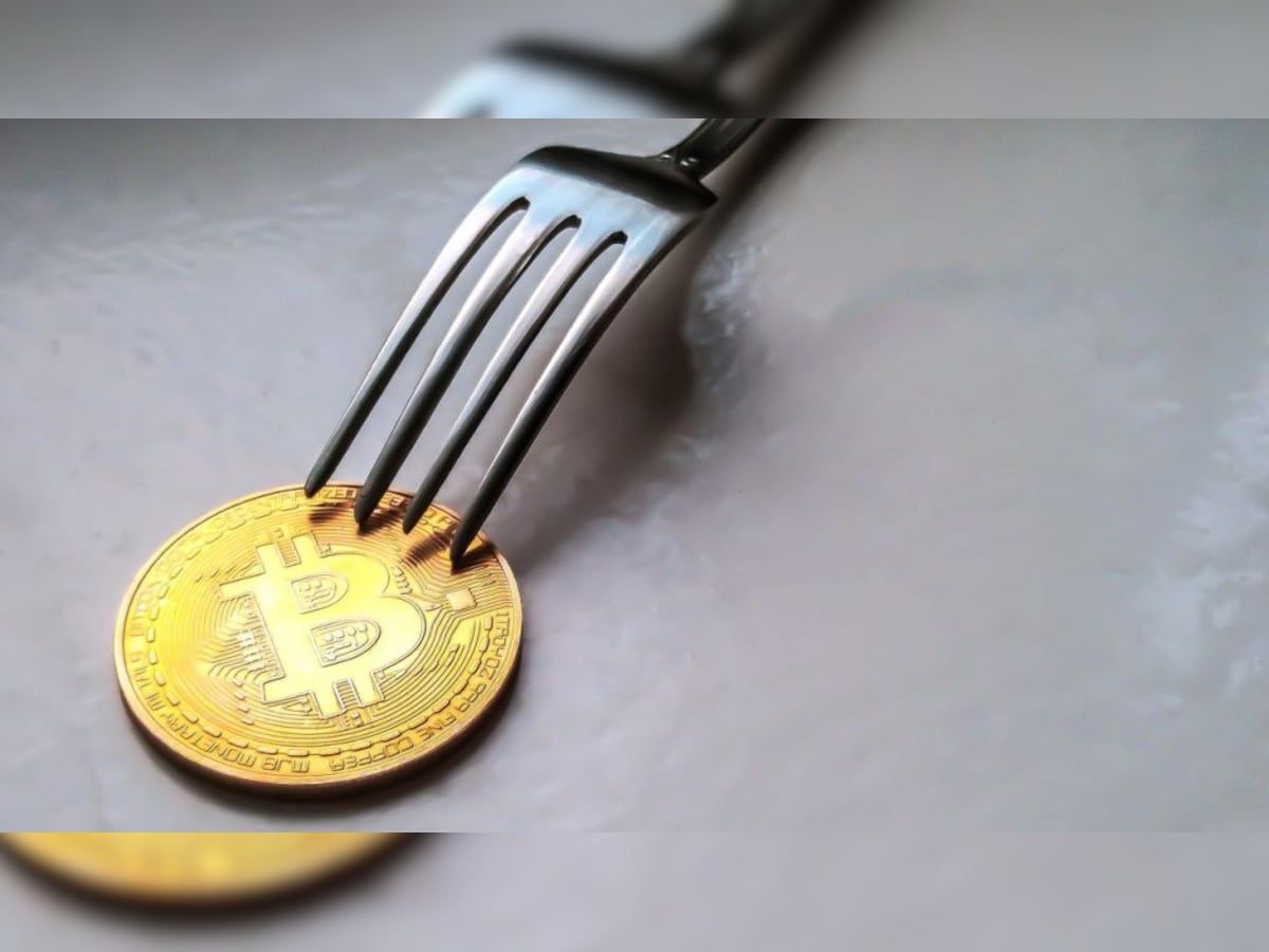 Hard Fork - CoinDesk