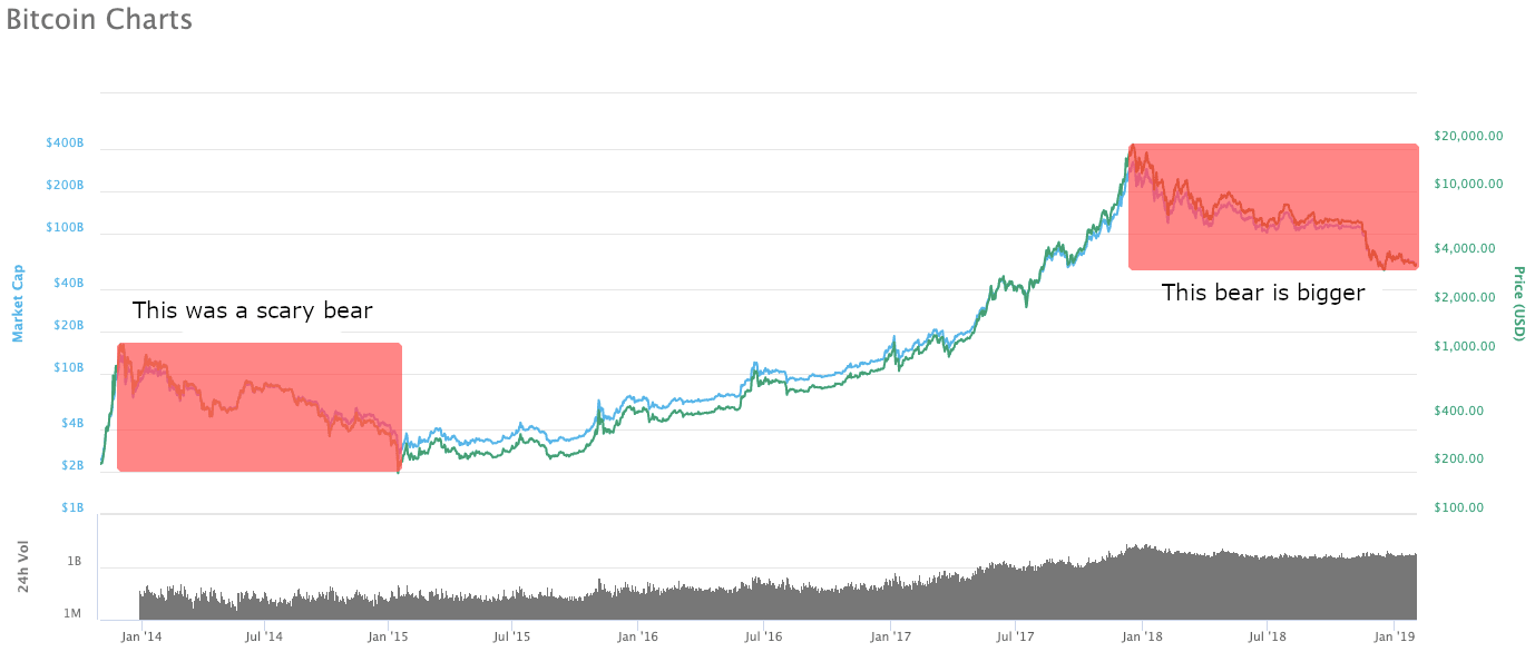 Bear vs Bull Market in the Crypto Industry: An Overview