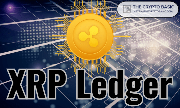 XRP Explorer | Scan the XRP Ledger