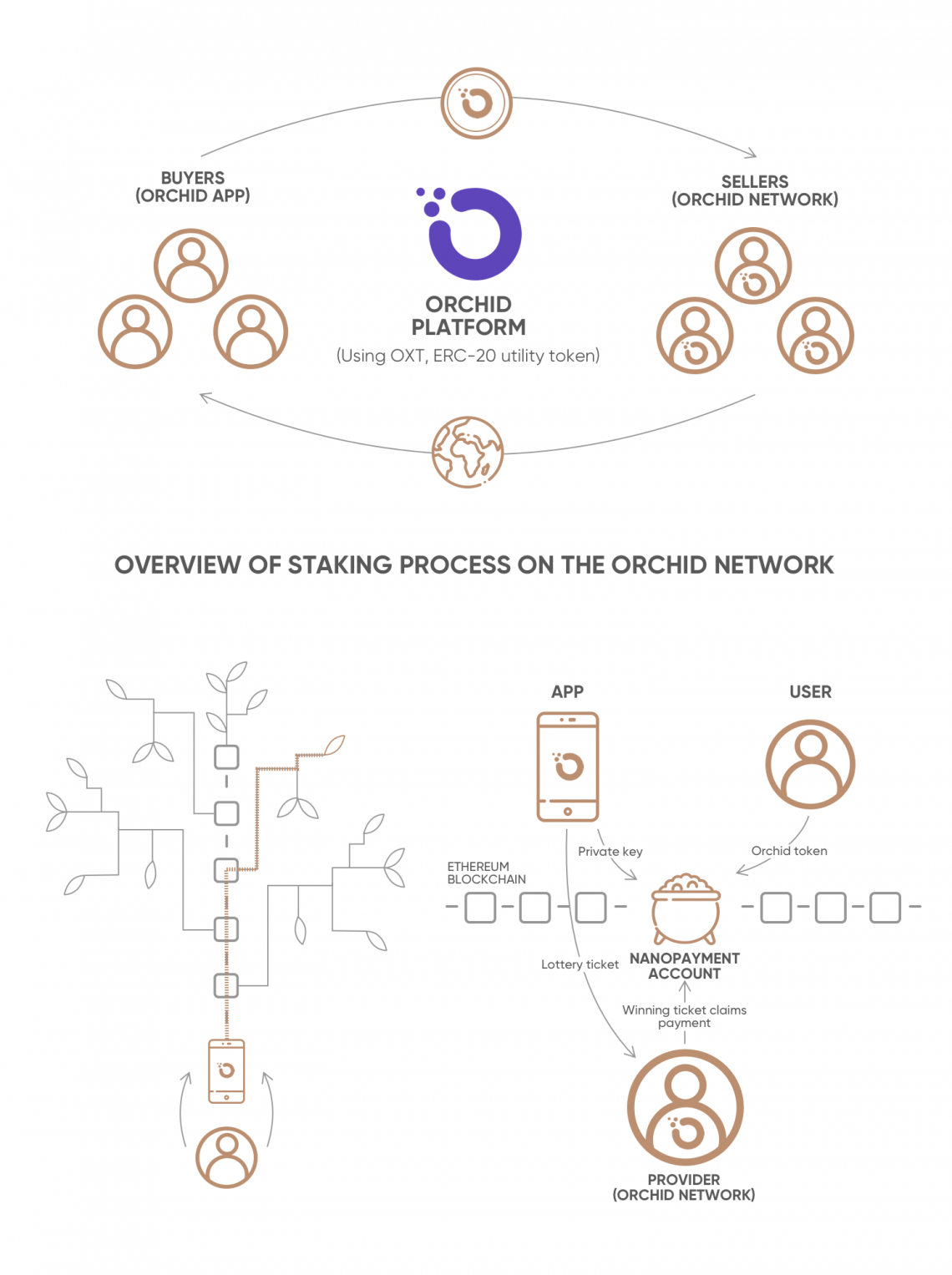 Orchid (OXT) Price Prediction Will OXT Price Reach $1 Soon? - Coin Edition