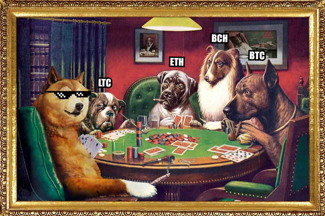 15+ Best Dogecoin Casinos (DOGE): Our Top Picks Ranked!