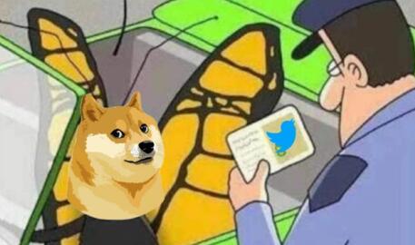 Dogecoin surges after Twitter accepts Musk's buyout offer