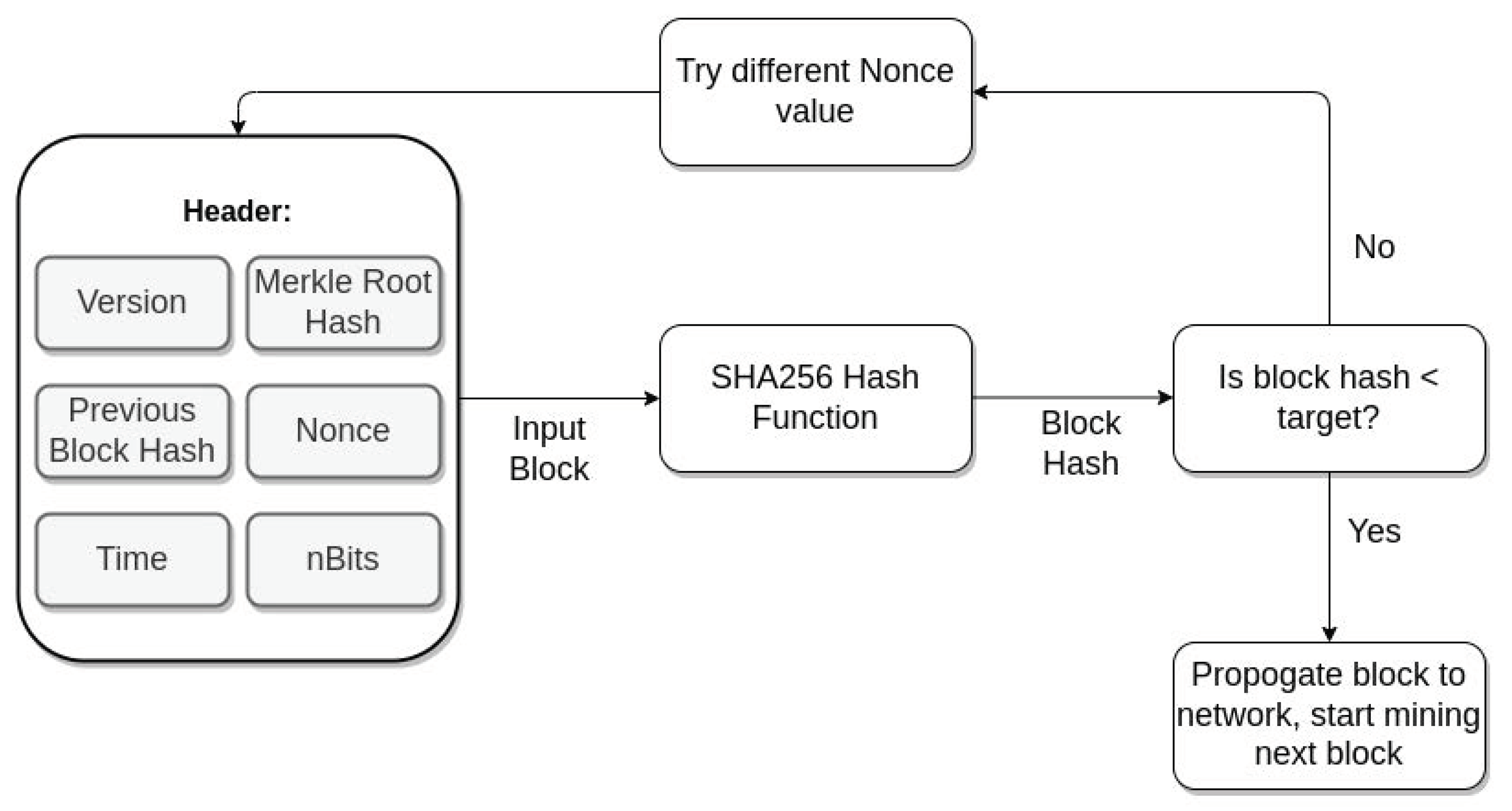 A Critical Evaluation of NEM and its Catapult Update