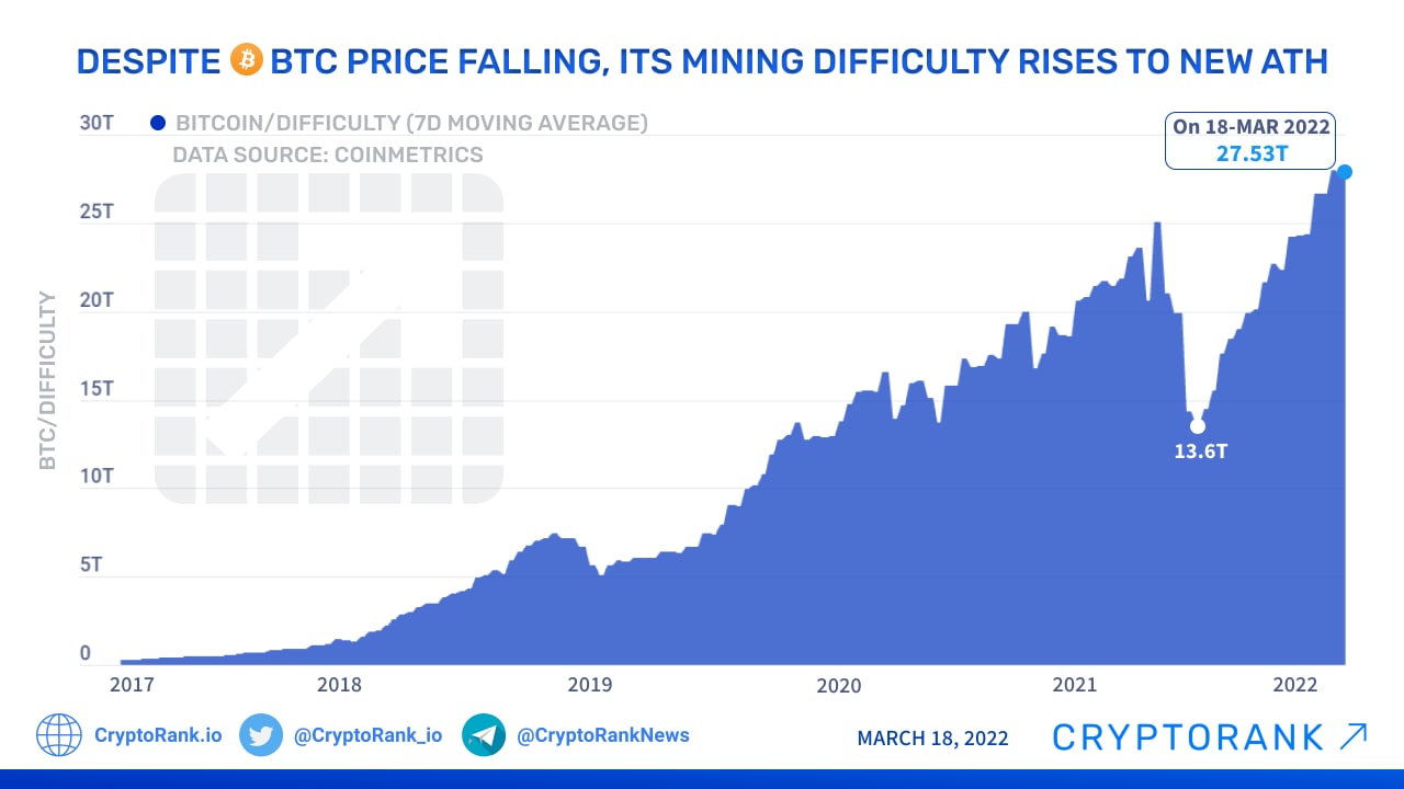 Braiins | Mining Insights