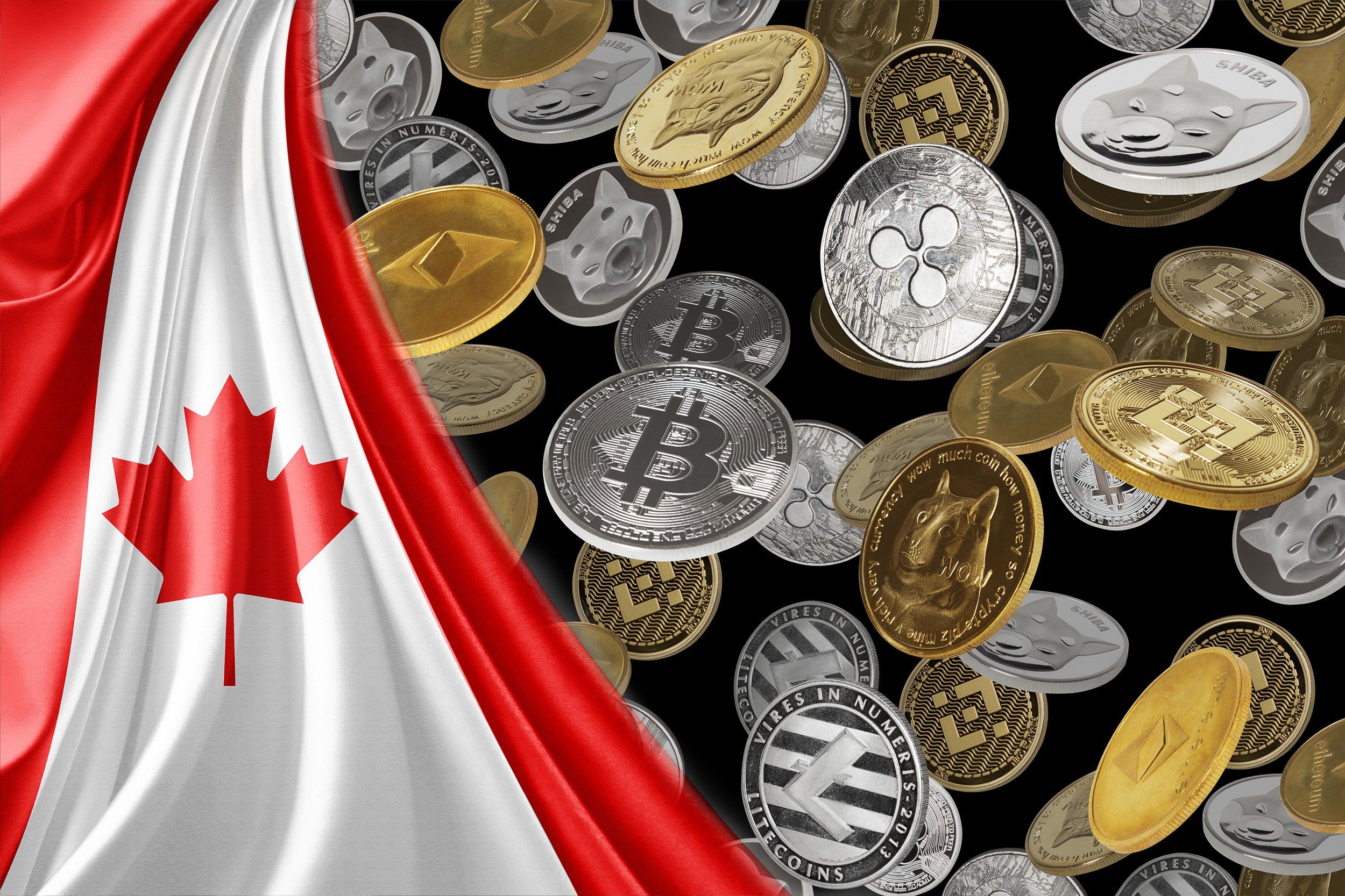 Bitcoin ETF CAD, TSX, ETF, performance | Morningstar