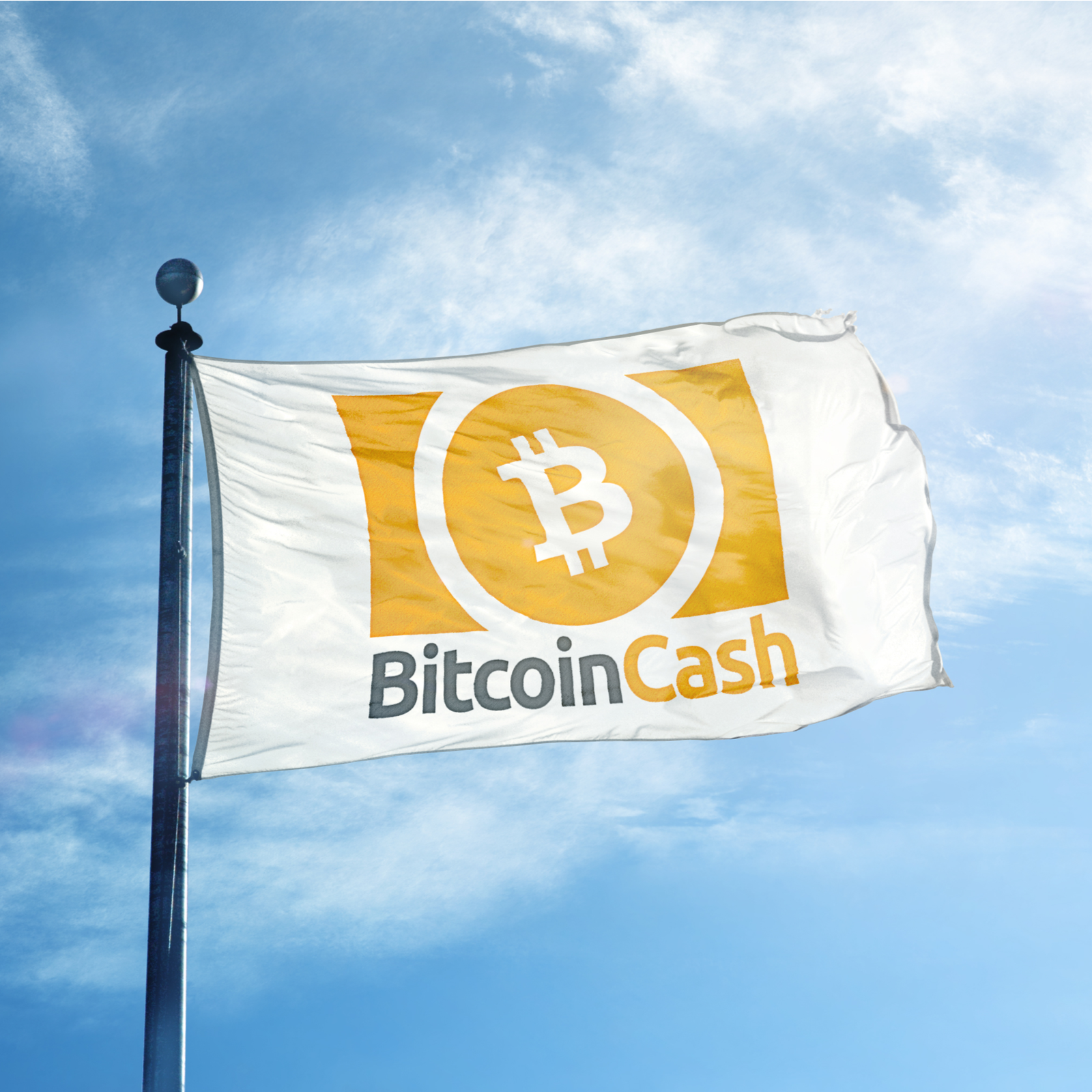 Bitcoin Cash - Wikipedia