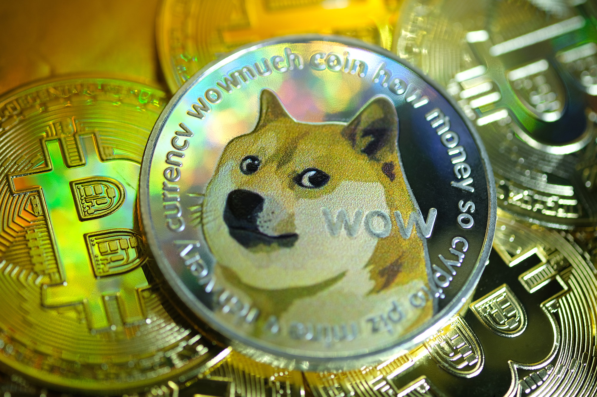 Current Dogecoin (DOGE) Price in USD | Live DOGE to USD Conversion