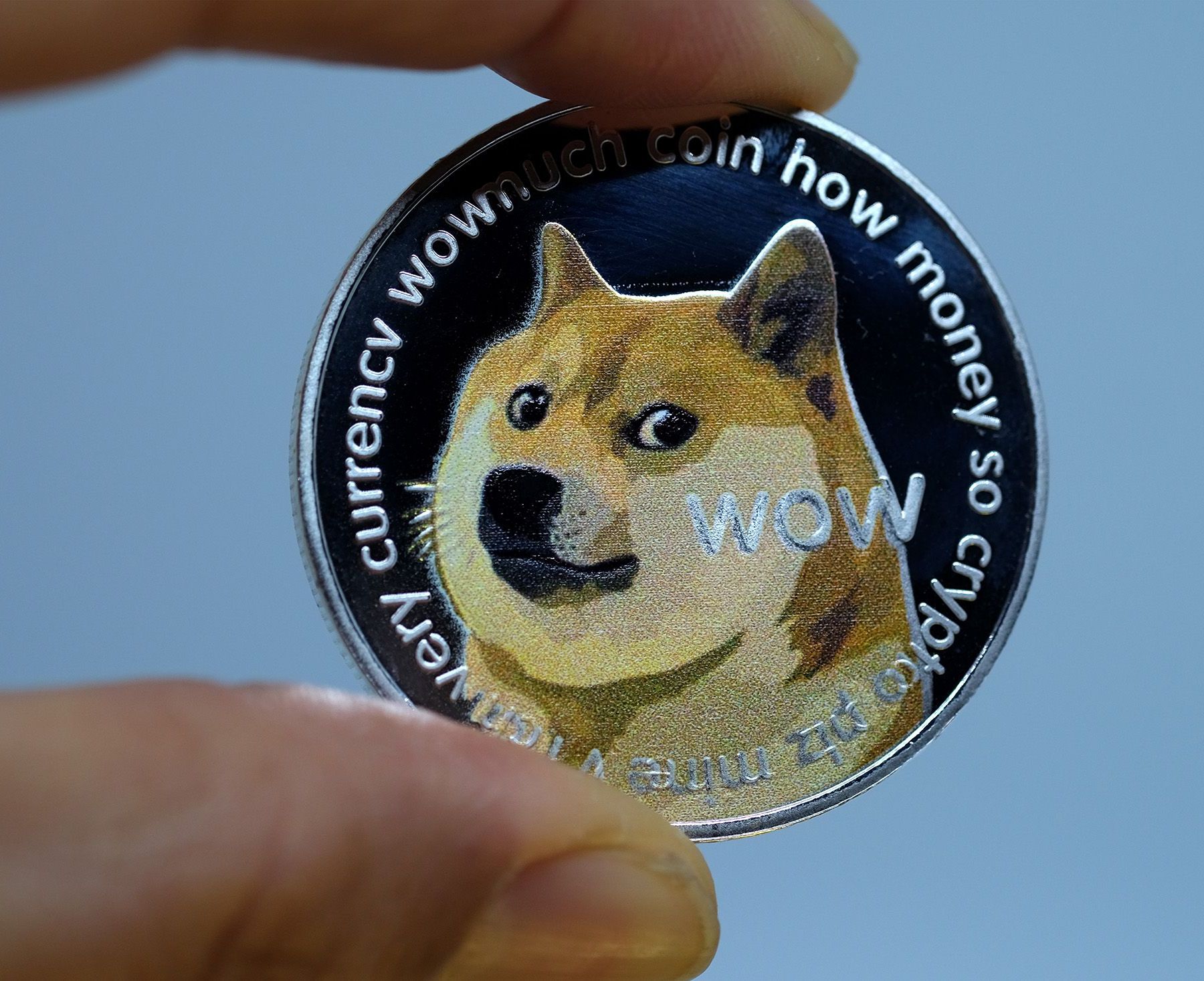 Dogecoin Price | DOGE Price Index and Live Chart - CoinDesk