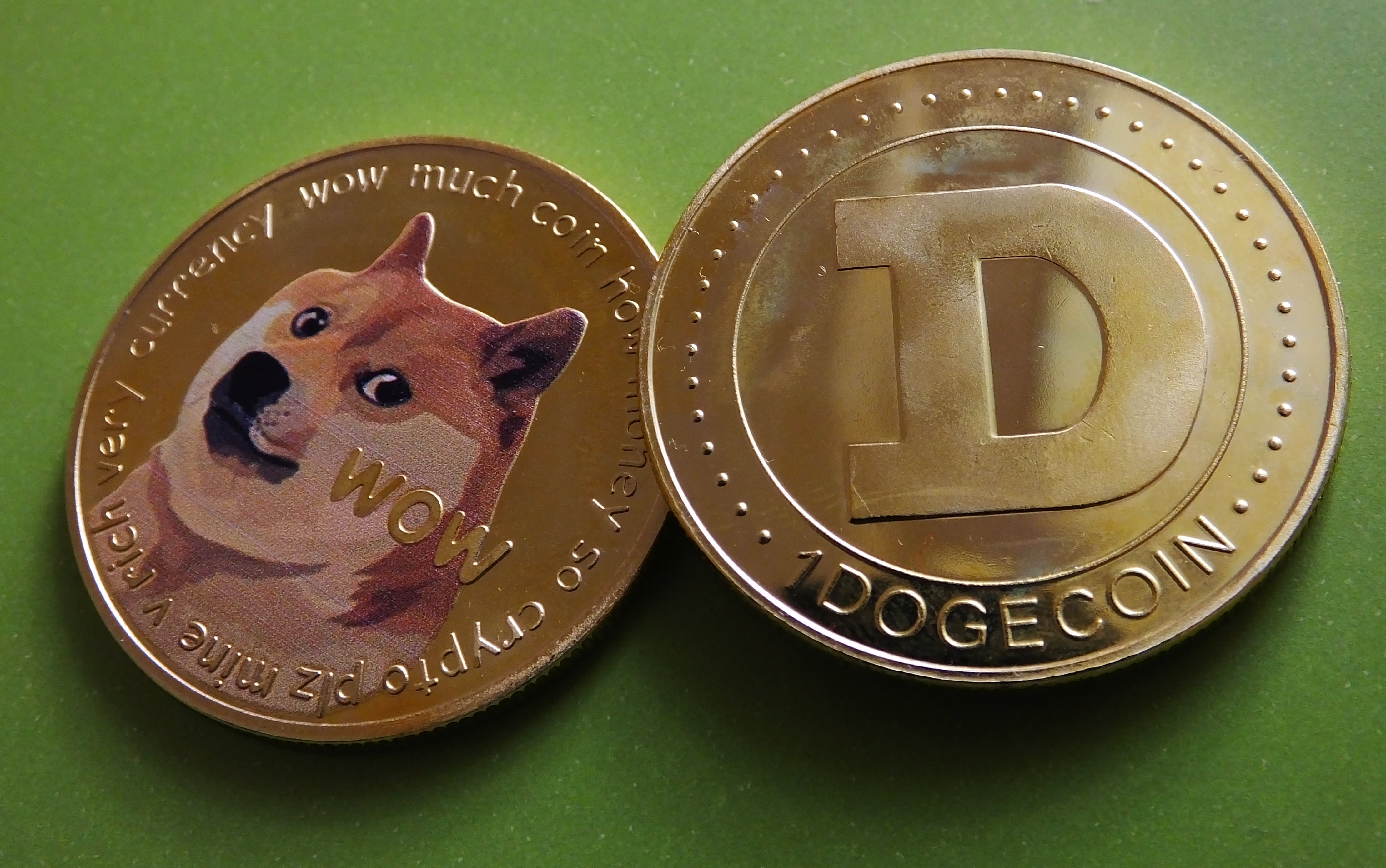 Dogecoin Price today in India is ₹ | DOGE-INR | Buyucoin