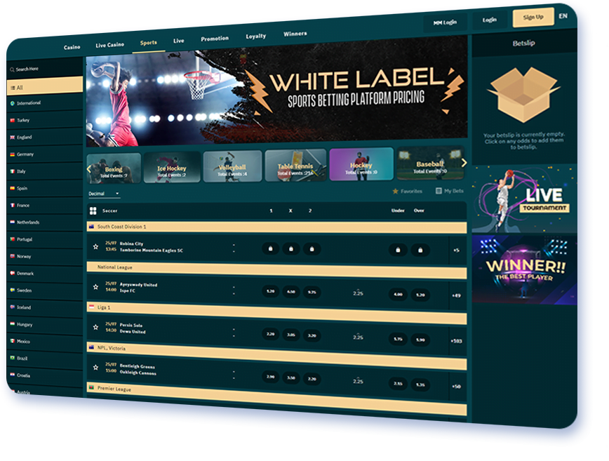 Understanding the Costs of Setting Up a White Label Casino for B2B Operators