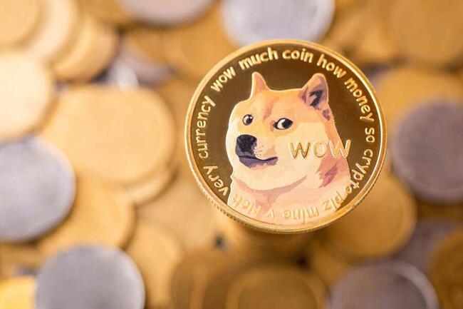 Dogecoin to Naira Conversion | DOGE to NGN Exchange Rate Calculator | Markets Insider