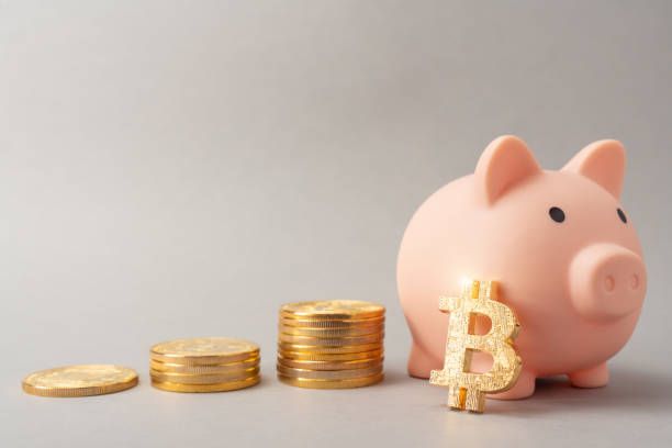 The 8 Best Crypto Savings Accounts For 