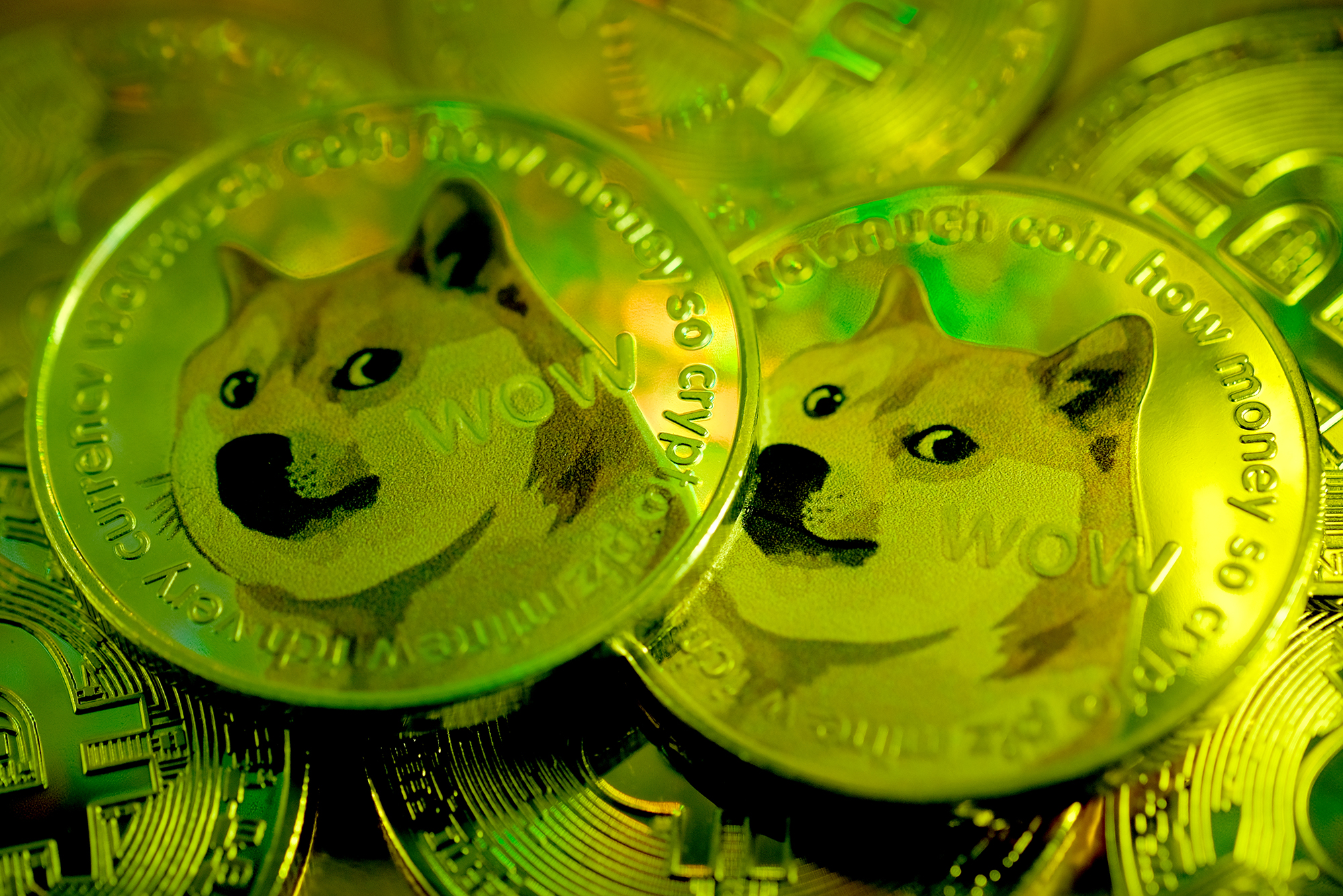 Dogecoin Wallet (DOGE) | Coin Wallet