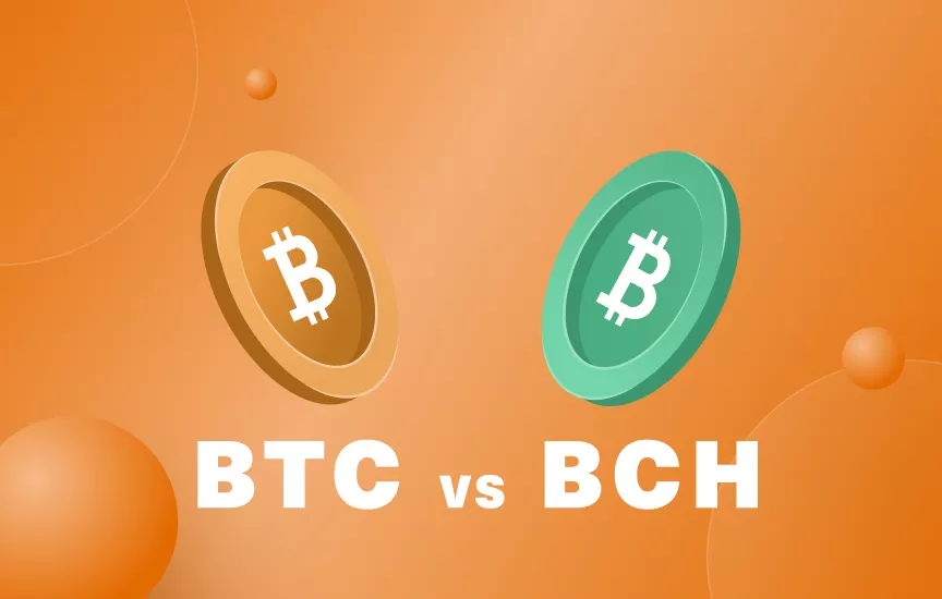 Bitcoin Cash vs Bitcoin Comparison | Compare Bitcoin Cash(BCH) versus Bitcoin (BTC) | coinlog.fun