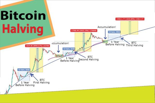 A short guide to bitcoin's halving event | The Week