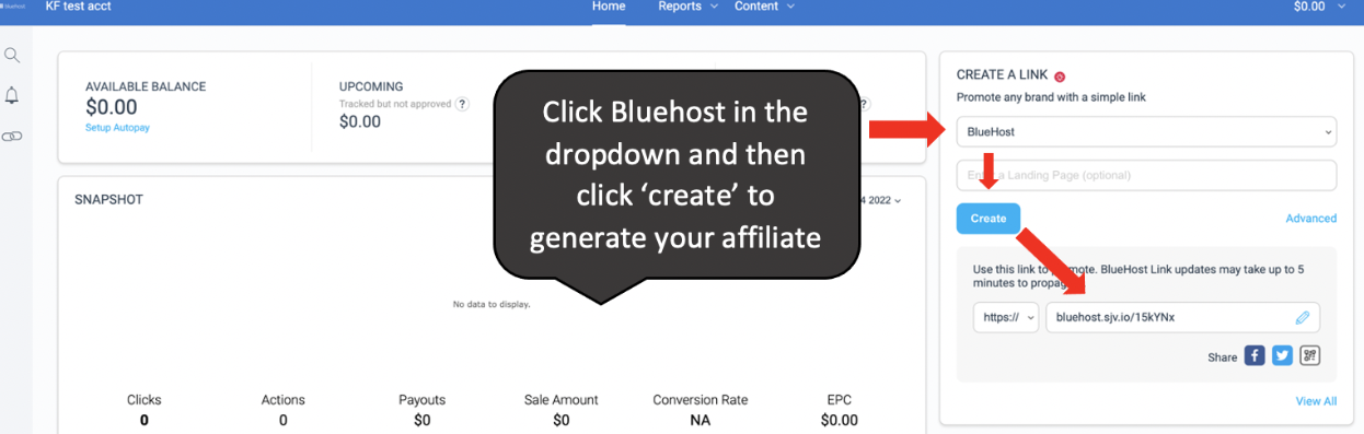Bluehost Affiliate Program Review - Great Commissions!