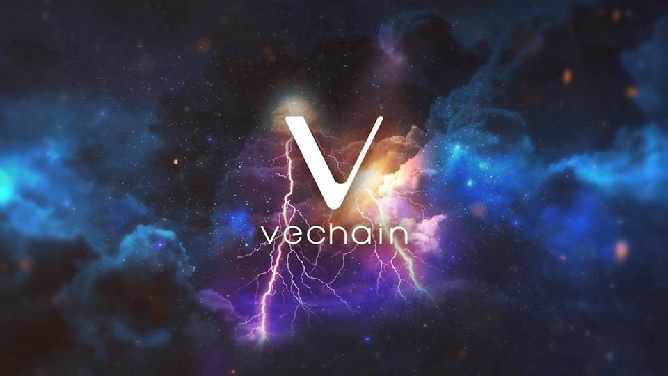 What is VeChain, VeChainThor, the VET Token and VTHO Token? - Moralis Academy