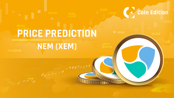 What is NEM? Did Bitcoin overshadow XEM bull run?