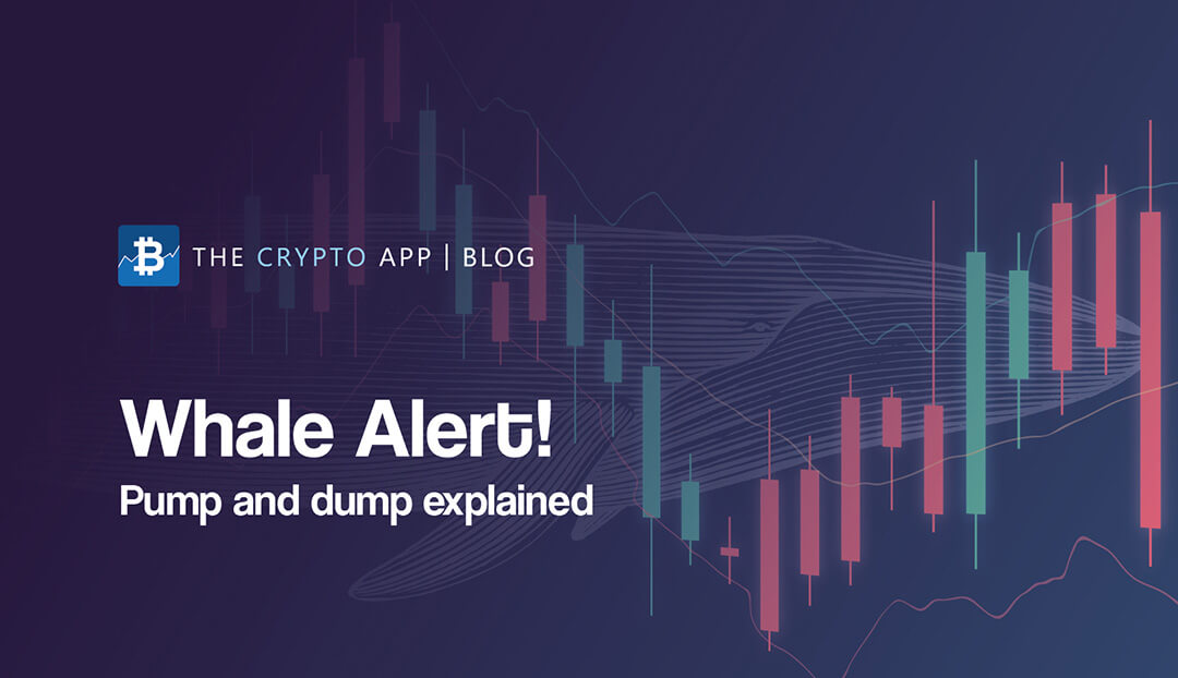 How to Spot Crypto Pump-and-Dump Schemes