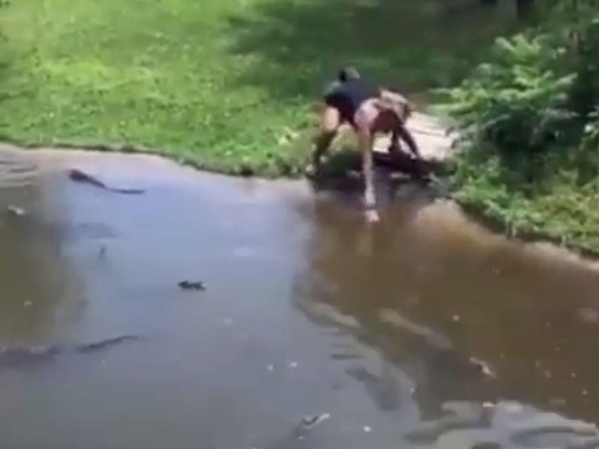 Moment Mother Climbs Into Alligator Pit With Young Son To Retrieve Her Wallet