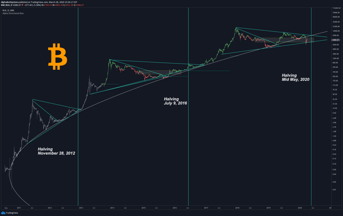 Bitcoin Cash Halving Countdown (Bitcoin Cash Halving Dates and Prices History)