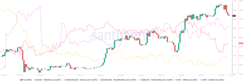 What Drives Bitcoin's Price Up or Crashing Down?