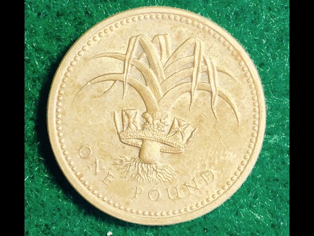 One Pound Coin - Leek - Coin Parade