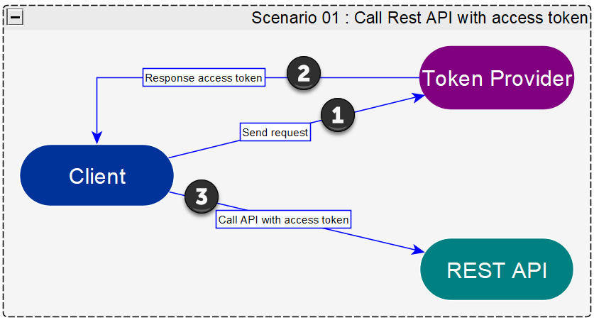 Using Tokens - Examples - API Token Authentication Documentation