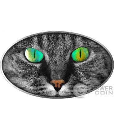 Kitty Kat Coin price now, Live KATS price, marketcap, chart, and info | CoinCarp